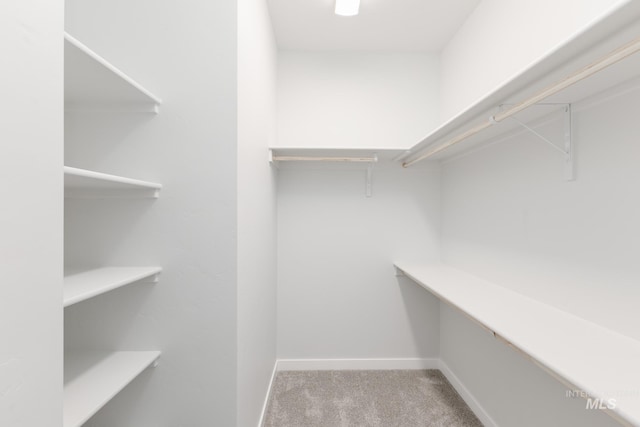 8349 S Sansa Ave, Kuna, ID 83634 - walk in closet featuring carpet