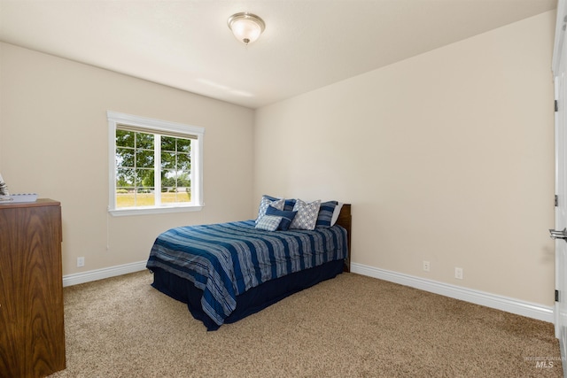 2790 S Mcdermott Rd, Nampa, ID 83687 - bedroom featuring carpet flooring and baseboards