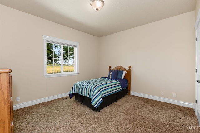 2790 S Mcdermott Rd, Nampa, ID 83687 - bedroom with carpet and baseboards
