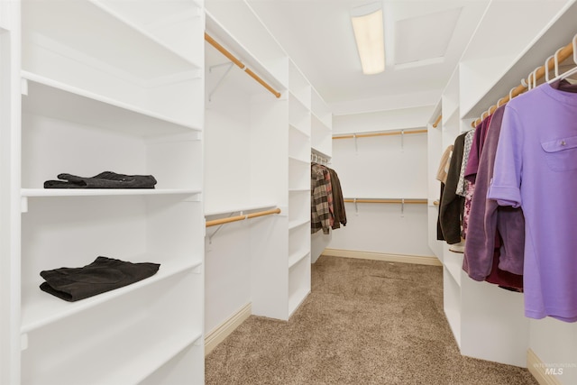 2790 S Mcdermott Rd, Nampa, ID 83687 - spacious closet featuring carpet flooring
