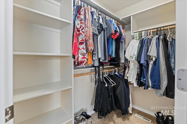 3918 Fallwood Cir, Caldwell, ID 83607 - spacious closet with carpet flooring
