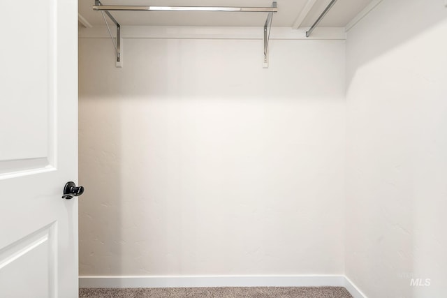 spacious closet with carpet floors