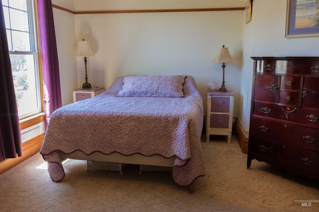 2771 S 850 E, Hagerman, ID 83332 - bedroom featuring light carpet