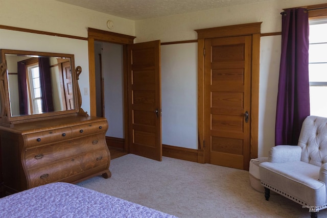 2771 S 850 E, Hagerman, ID 83332 - bedroom featuring carpet floors and a textured ceiling