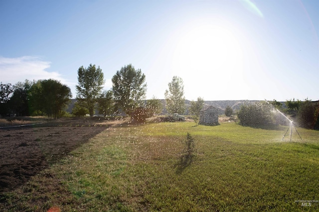 2771 S 850 E, Hagerman, ID 83332 - view of green lawn