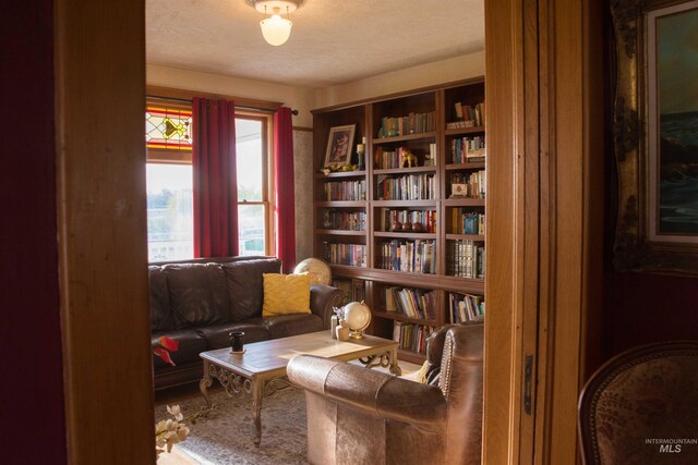 2771 S 850 E, Hagerman, ID 83332 - living area with plenty of natural light and bookshelves