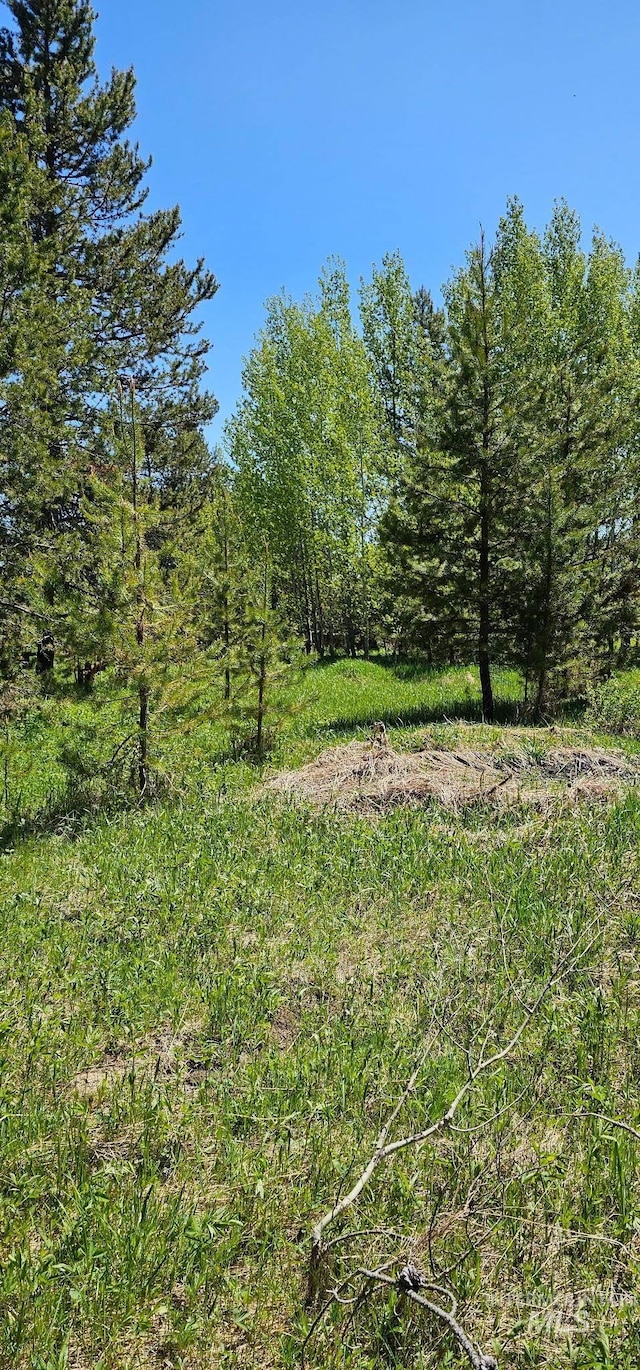174 Meadow Pl, Donnelly, ID 83615