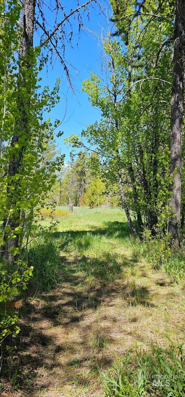 174 Meadow Pl, Donnelly, ID 83615
