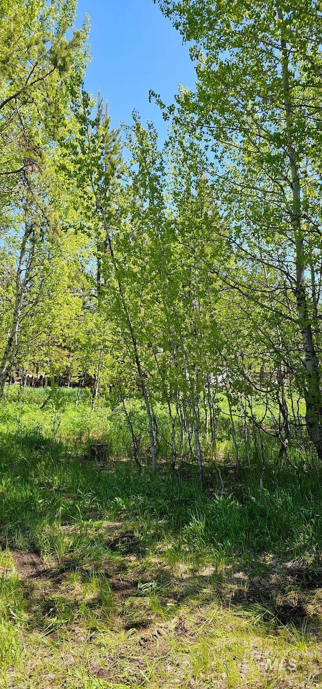 174 Meadow Pl, Donnelly, ID 83615
