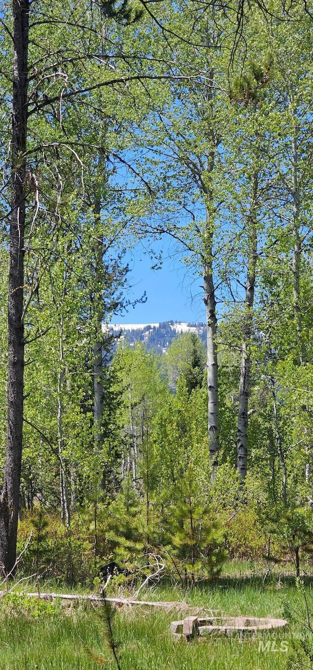 174 Meadow Pl, Donnelly, ID 83615