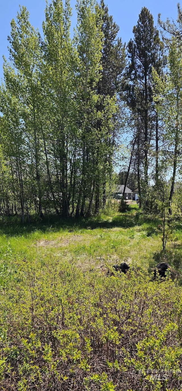 174 Meadow Pl, Donnelly, ID 83615