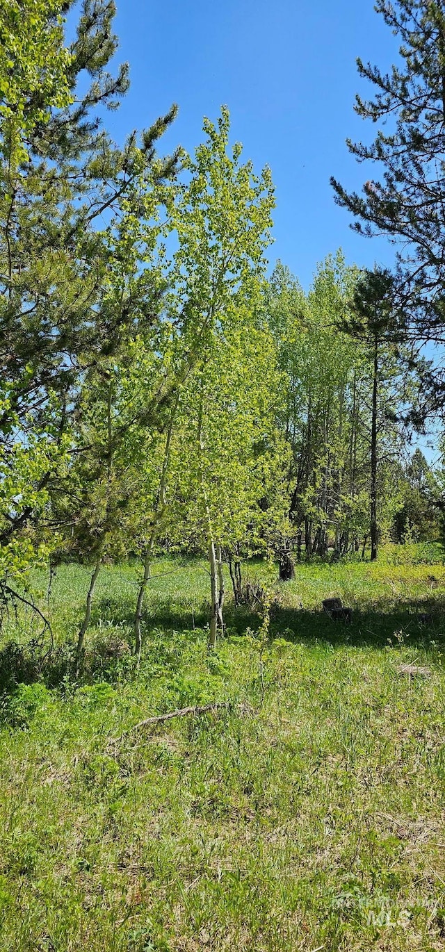 174 Meadow Pl, Donnelly, ID 83615