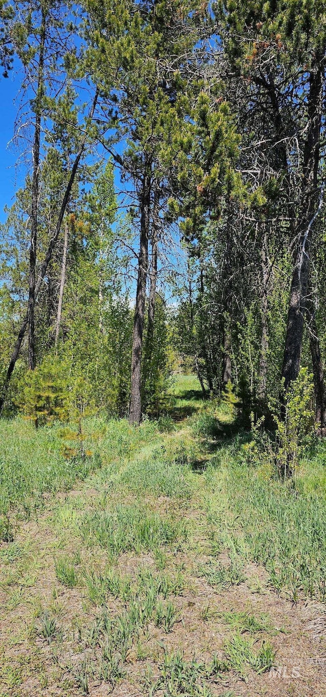 174 Meadow Pl, Donnelly, ID 83615