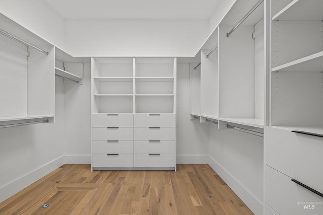 spacious closet with light wood-style flooring