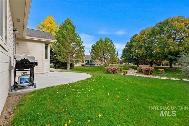 view of yard featuring a patio