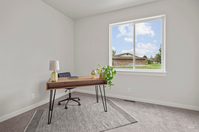 carpeted office with plenty of natural light