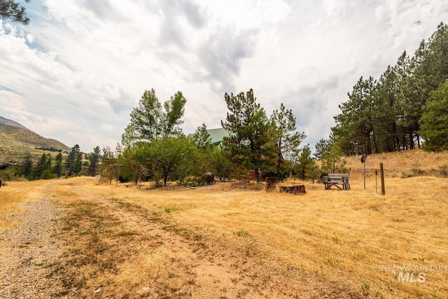 view of yard featuring a mountain view and a rural view