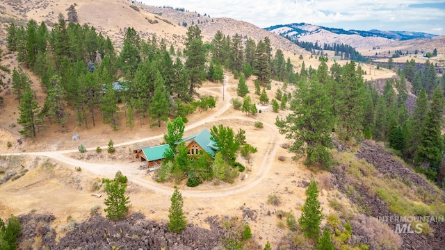 birds eye view of property with a mountain view