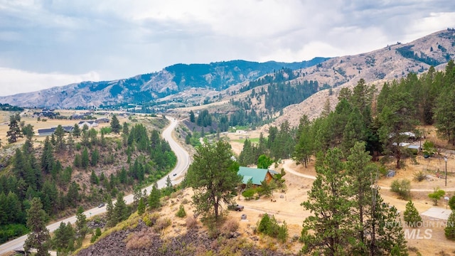 view of mountain feature