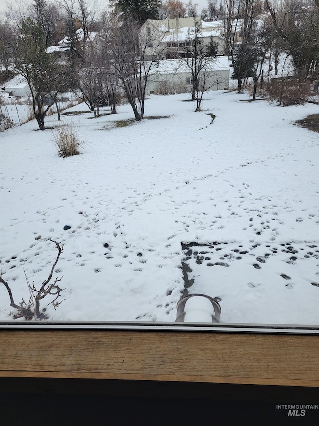 view of yard layered in snow