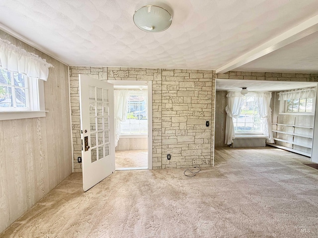 spare room with carpet and wood walls