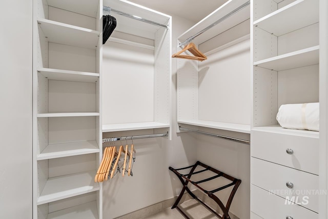 view of spacious closet