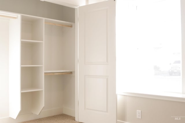 view of closet