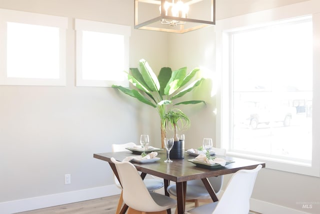 dining area with wood-type flooring and a wealth of natural light