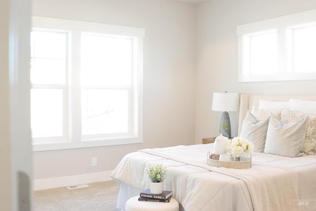 bedroom with carpet flooring