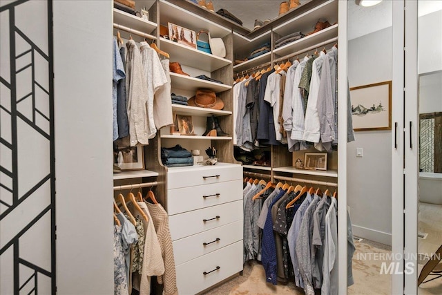 8701 W Suttle Lake Dr, Boise, ID 83714 - view of spacious closet
