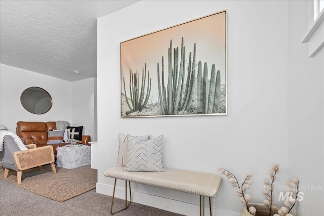 8701 W Suttle Lake Dr, Boise, ID 83714 - sitting room featuring carpet floors