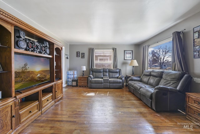 living room featuring dark wood finished floors