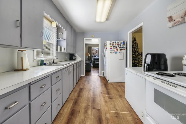 kitchen with gray cabinets, a sink, wood finished floors, white appliances, and light countertops