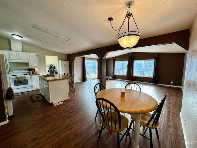 dining space with lofted ceiling, a textured ceiling, sink, and dark hardwood / wood-style flooring