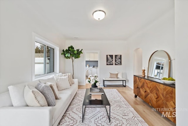 living room featuring light hardwood / wood-style flooring