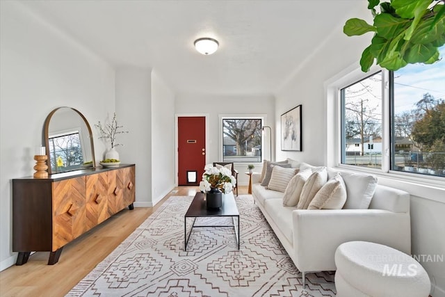 living room with light wood-type flooring