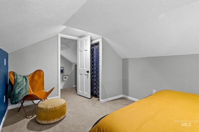 4705 W Franklin Rd, Boise, ID 83705 - bedroom with lofted ceiling, carpet floors, and a textured ceiling