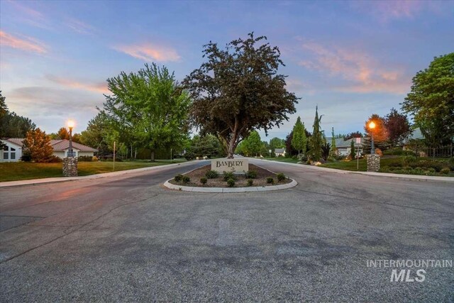 view of street with curbs