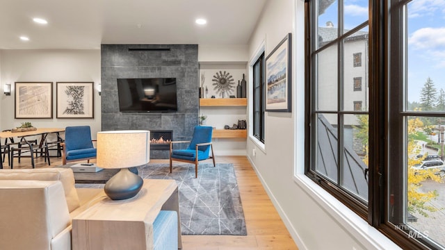 living room featuring light hardwood / wood-style floors and a fireplace