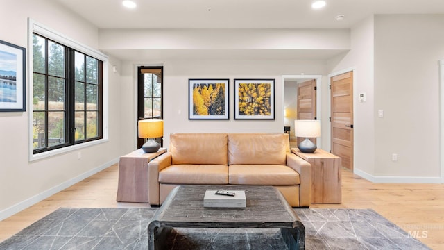 living room featuring a wealth of natural light and light hardwood / wood-style flooring