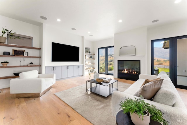 living room featuring light hardwood / wood-style floors