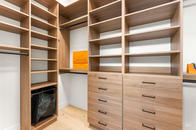 walk in closet featuring light wood-type flooring