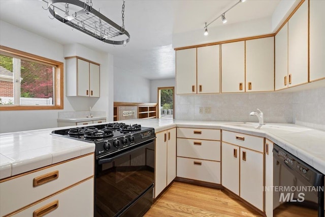 1915 N 23rd St, Boise, ID 83702 - kitchen with black gas range oven, dishwashing machine, light wood-type flooring, a sink, and track lighting