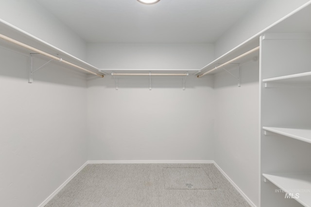 651 S Jayo Ct, Emmett, ID 83617 - spacious closet with carpet