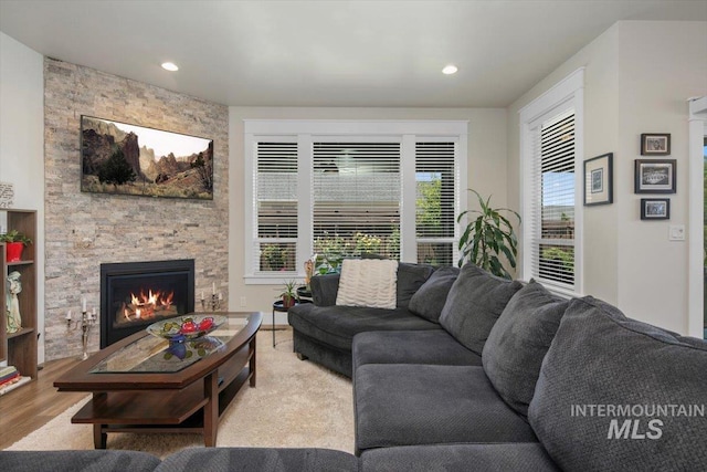 living room featuring a fireplace and light hardwood / wood-style flooring