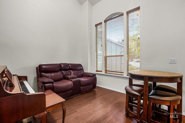 living room with dark wood-type flooring and a wealth of natural light