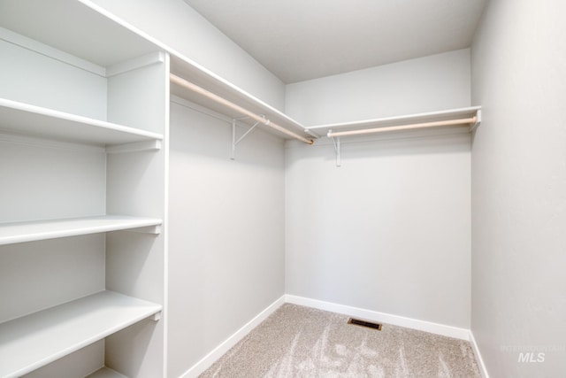 walk in closet with light colored carpet