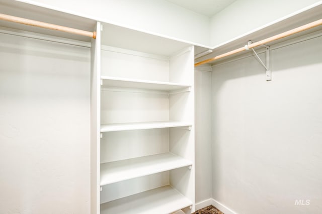 walk in closet featuring carpet flooring