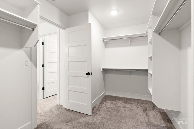 spacious closet with light colored carpet