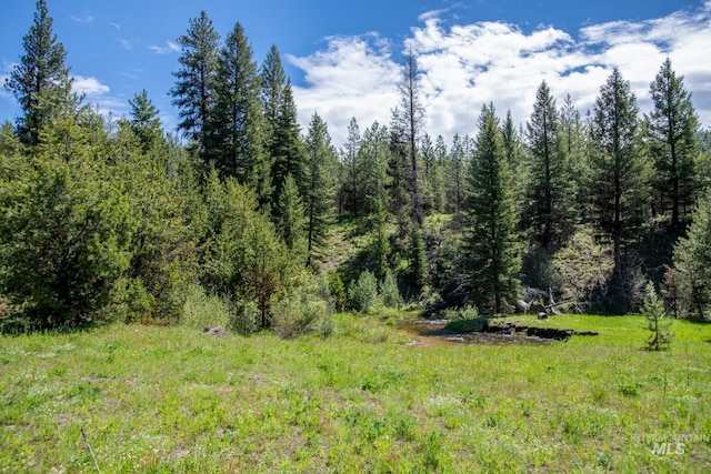 Listing photo 3 for TBD36 Clear Creek Rd, Cascade ID 83611